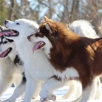 processed/09056aea-5c81-4e9f-aa78-ebeef1e0966c/facility/28515240-0bc4-472d-9834-edbb2ce6ea68