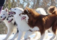 processed/09056aea-5c81-4e9f-aa78-ebeef1e0966c/facility/28515240-0bc4-472d-9834-edbb2ce6ea68