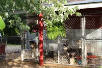 processed/09056aea-5c81-4e9f-aa78-ebeef1e0966c/facility/2a1d393f-9d19-45a9-80d1-d25074ef9a79