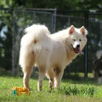 processed/09056aea-5c81-4e9f-aa78-ebeef1e0966c/facility/39ddd5ab-2ead-4976-b54b-bf85469dc623