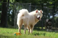 processed/09056aea-5c81-4e9f-aa78-ebeef1e0966c/facility/39ddd5ab-2ead-4976-b54b-bf85469dc623