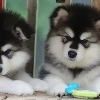 processed/09056aea-5c81-4e9f-aa78-ebeef1e0966c/facility/59f007b1-220c-4c59-815b-8e237c14dd52