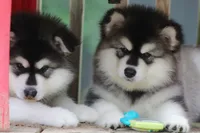 processed/09056aea-5c81-4e9f-aa78-ebeef1e0966c/facility/59f007b1-220c-4c59-815b-8e237c14dd52