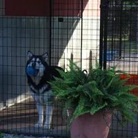 processed/09056aea-5c81-4e9f-aa78-ebeef1e0966c/facility/62d40a36-92d3-43f0-a1a1-69889768dcda