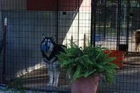 processed/09056aea-5c81-4e9f-aa78-ebeef1e0966c/facility/62d40a36-92d3-43f0-a1a1-69889768dcda