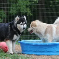 processed/09056aea-5c81-4e9f-aa78-ebeef1e0966c/facility/7a100314-a692-4d6a-b50b-eb821ce7ba33