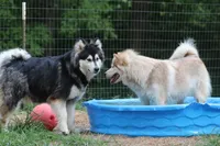 processed/09056aea-5c81-4e9f-aa78-ebeef1e0966c/facility/7a100314-a692-4d6a-b50b-eb821ce7ba33