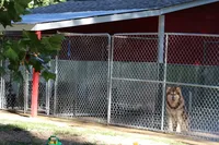 processed/09056aea-5c81-4e9f-aa78-ebeef1e0966c/facility/a6d390da-1b1e-42bf-bfe3-80b8f38d1fd1