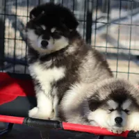 processed/09056aea-5c81-4e9f-aa78-ebeef1e0966c/facility/cee4b69b-d92b-421b-9fd2-3b81f6449cbc