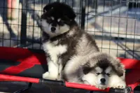 processed/09056aea-5c81-4e9f-aa78-ebeef1e0966c/facility/cee4b69b-d92b-421b-9fd2-3b81f6449cbc