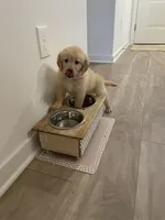 processed/090a107b-9c4f-4c0a-bfb0-b279008b95ea/facility/52a003f4-5155-4bb4-ad8b-e332c0fe5149