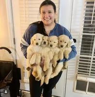 processed/090a107b-9c4f-4c0a-bfb0-b279008b95ea/facility/6e72c3b3-1c86-4f05-adfb-8c9369b97e07