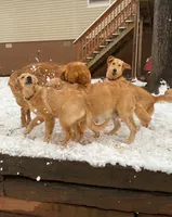 processed/090a107b-9c4f-4c0a-bfb0-b279008b95ea/facility/832a0748-1247-4cab-b253-784c83f87d19