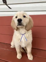 processed/090a107b-9c4f-4c0a-bfb0-b279008b95ea/facility/cdc0b73a-0719-45ce-ac78-9ab196925836