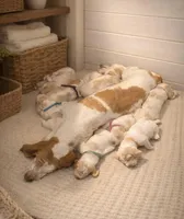 processed/090a3a2d-e93c-4b05-8e39-0a3783369c7e/facility/77ecf63b-a892-47dd-899f-987e2e7f47c0