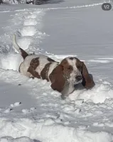 processed/090a3a2d-e93c-4b05-8e39-0a3783369c7e/facility/7be19acb-6f57-4397-ad64-908d43af3548