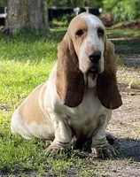 processed/090a3a2d-e93c-4b05-8e39-0a3783369c7e/facility/ff464310-9307-4abd-bc59-6fdfa72b1734