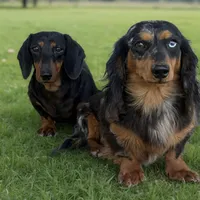 processed/091f94d6-6841-4880-9ffa-aba2031819fa/facility/12b92f57-2fcb-47da-be27-3648df6835f0