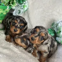 processed/091f94d6-6841-4880-9ffa-aba2031819fa/facility/33aa6eef-7933-42ca-a3ad-c699fc980086