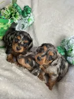 processed/091f94d6-6841-4880-9ffa-aba2031819fa/facility/33aa6eef-7933-42ca-a3ad-c699fc980086