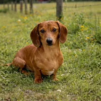 processed/091f94d6-6841-4880-9ffa-aba2031819fa/facility/3774f0e6-7dc0-4596-820e-1103fd57aa3c