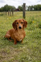 processed/091f94d6-6841-4880-9ffa-aba2031819fa/facility/3774f0e6-7dc0-4596-820e-1103fd57aa3c