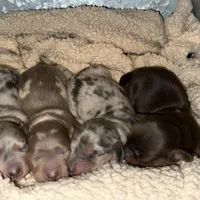 processed/091f94d6-6841-4880-9ffa-aba2031819fa/facility/4df82047-45a6-4c8e-b030-e2273cc3eea9