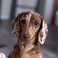 processed/091f94d6-6841-4880-9ffa-aba2031819fa/facility/5bde93fa-0ffa-4012-8045-c63922552ebe