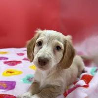 processed/091f94d6-6841-4880-9ffa-aba2031819fa/facility/a85137ac-c195-4f9d-9336-86e0c6aca2a5