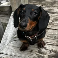 processed/091f94d6-6841-4880-9ffa-aba2031819fa/facility/b9d7bb38-9324-46a4-b271-54a942b3b778