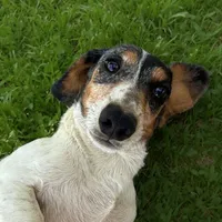 processed/091f94d6-6841-4880-9ffa-aba2031819fa/facility/d9acca2a-bb5c-47c4-b5e2-122e04b32927