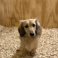 processed/091f94d6-6841-4880-9ffa-aba2031819fa/facility/e2d7ab09-b371-4de3-b909-acde642e90d4