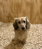 processed/091f94d6-6841-4880-9ffa-aba2031819fa/facility/e2d7ab09-b371-4de3-b909-acde642e90d4