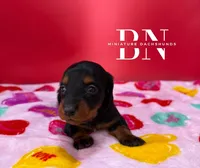 processed/091f94d6-6841-4880-9ffa-aba2031819fa/listing/235ddd2e-b784-42b1-8388-0de5851fe676/1dea724b-db15-4bbf-a56b-cead5b9e083b