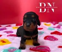 processed/091f94d6-6841-4880-9ffa-aba2031819fa/listing/235ddd2e-b784-42b1-8388-0de5851fe676/7715257d-17ce-4312-a291-717da5728cb1