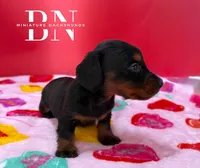 processed/091f94d6-6841-4880-9ffa-aba2031819fa/listing/235ddd2e-b784-42b1-8388-0de5851fe676/825b506a-7754-474d-a779-b267eccc55d8