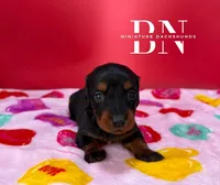 processed/091f94d6-6841-4880-9ffa-aba2031819fa/listing/235ddd2e-b784-42b1-8388-0de5851fe676/a4b05727-dde5-4526-aad2-2bfc2f2ca099