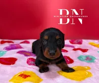 processed/091f94d6-6841-4880-9ffa-aba2031819fa/listing/235ddd2e-b784-42b1-8388-0de5851fe676/cb46bd62-359f-4ab3-b4fa-1eae6d718c11