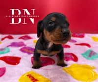 processed/091f94d6-6841-4880-9ffa-aba2031819fa/listing/bbe1a265-f4a2-4418-8f89-2bae344c68f9/0f5946d5-553f-4cee-a407-b735b3a79425