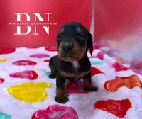 processed/091f94d6-6841-4880-9ffa-aba2031819fa/listing/bbe1a265-f4a2-4418-8f89-2bae344c68f9/3c9f2214-3eb0-4f86-ae90-87a7ce1907cc