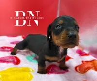 processed/091f94d6-6841-4880-9ffa-aba2031819fa/listing/bbe1a265-f4a2-4418-8f89-2bae344c68f9/5fc478e3-c7dc-4804-a11f-a31ff3e8ded0