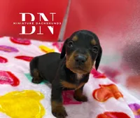 processed/091f94d6-6841-4880-9ffa-aba2031819fa/listing/bbe1a265-f4a2-4418-8f89-2bae344c68f9/701ad7b0-a748-4344-b15f-272a37a73592