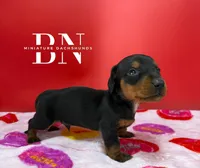 processed/091f94d6-6841-4880-9ffa-aba2031819fa/listing/bbe1a265-f4a2-4418-8f89-2bae344c68f9/a5986bec-8b1a-48a9-8bdd-1c6e47ea5096