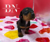 processed/091f94d6-6841-4880-9ffa-aba2031819fa/listing/bbe1a265-f4a2-4418-8f89-2bae344c68f9/ed961d1a-1ac5-4fd6-a38d-6729ab3e2e0d