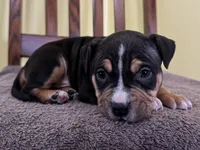 processed/09204eda-1a37-4939-88be-1b2a59439636/listing/5f9a1f50-9fc5-4e9c-a891-f72e7eb9dd25/4e40440e-09cb-49f6-a44f-9afa5d565d7e