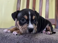 processed/09204eda-1a37-4939-88be-1b2a59439636/listing/5f9a1f50-9fc5-4e9c-a891-f72e7eb9dd25/8526f7b9-b7ef-4a59-a860-3b6cff1e0517