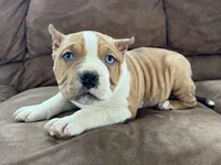 processed/09204eda-1a37-4939-88be-1b2a59439636/listing/6cee3855-e52d-4c14-9d03-d30e18cb5dbd/2c208305-af0f-45a8-afd0-7be6d7da8874