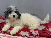 processed/09204eda-1a37-4939-88be-1b2a59439636/listing/70c71fd6-9228-4089-bbc8-1cf2276e4940/a0998f6c-8516-4992-b14e-4106dc9218da