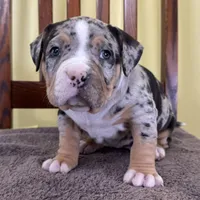 processed/09204eda-1a37-4939-88be-1b2a59439636/listing/a27dd82f-620b-49d5-8cdc-364d582774a4/272161a7-db84-4b9c-bd30-805694bdaf02