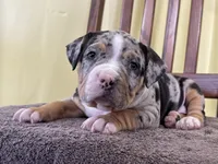 processed/09204eda-1a37-4939-88be-1b2a59439636/listing/a27dd82f-620b-49d5-8cdc-364d582774a4/fd5440b7-6c59-4b50-9ca3-8f695a58f098